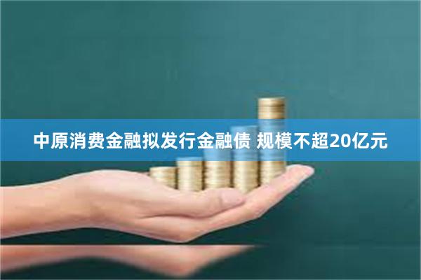 中原消费金融拟发行金融债 规模不超20亿元