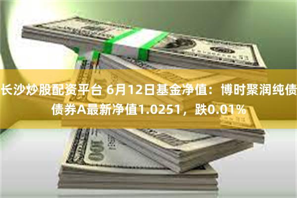 长沙炒股配资平台 6月12日基金净值：博时聚润纯债债券A最新净值1.0251，跌0.01%