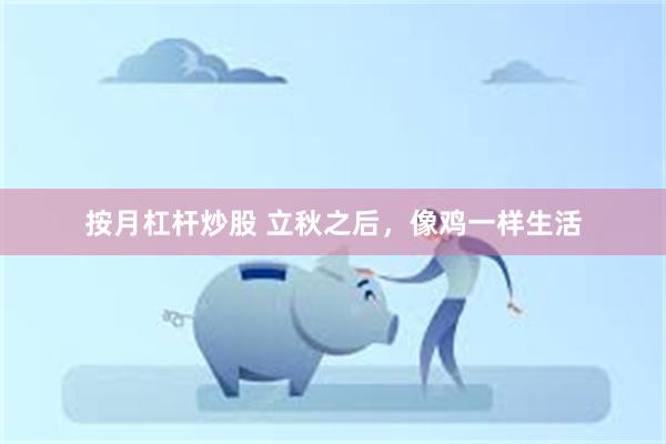 按月杠杆炒股 立秋之后，像鸡一样生活