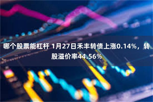 哪个股票能杠杆 1月27日禾丰转债上涨0.14%，转股溢价率44.56%