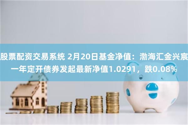 股票配资交易系统 2月20日基金净值：渤海汇金兴宸一年定开债券发起最新净值1.0291，跌0.08%